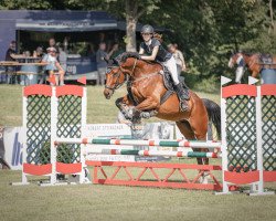 jumper Coscorn (Hanoverian, 2013, from Cosinhus)