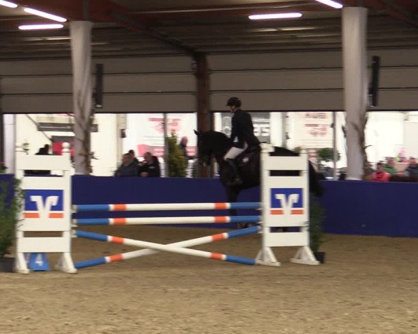 Euregio Springturnier Isterberg 2021