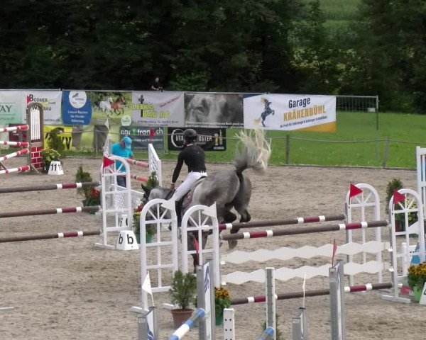 Reitturnier Gossau 2023