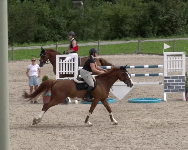 Reitturnier Gossau 2023