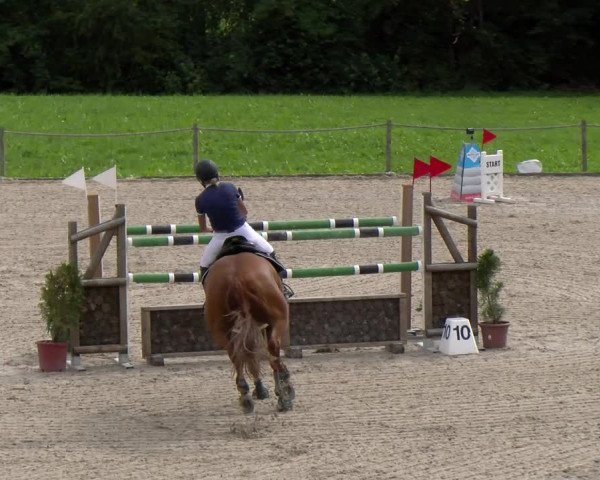 Reitturnier Gossau 2023
