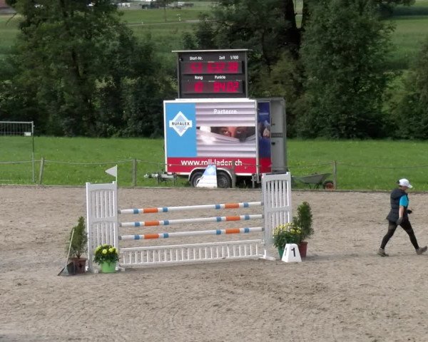 Reitturnier Gossau 2023