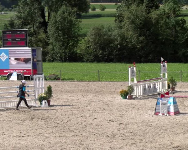 Reitturnier Gossau 2023