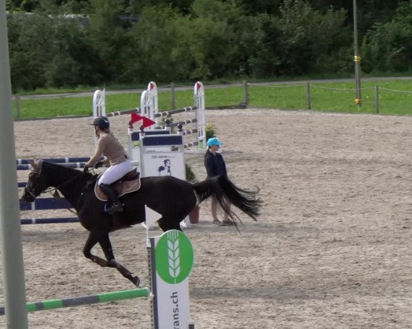 Reitturnier Gossau 2023