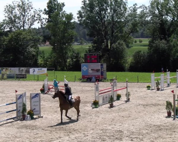 Reitturnier Gossau 2023