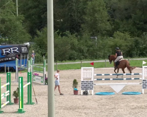 Reitturnier Gossau 2023