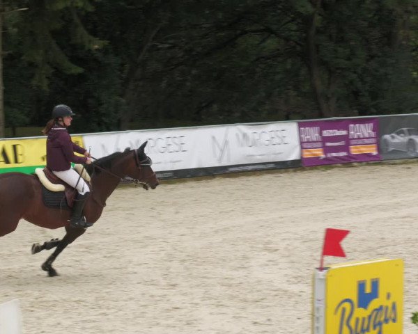 Reitturnier Karlsfeld 2023