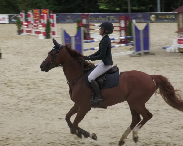 Reitturnier Karlsfeld 2023
