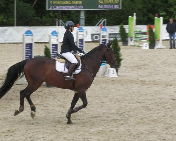 Reitturnier Karlsfeld 2023