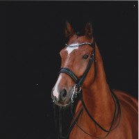dressage horse Landfürst S (German Sport Horse, 2009, from Lancelot Quainton)