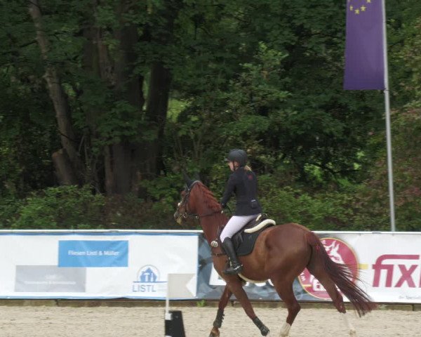 Reitturnier Karlsfeld 2023