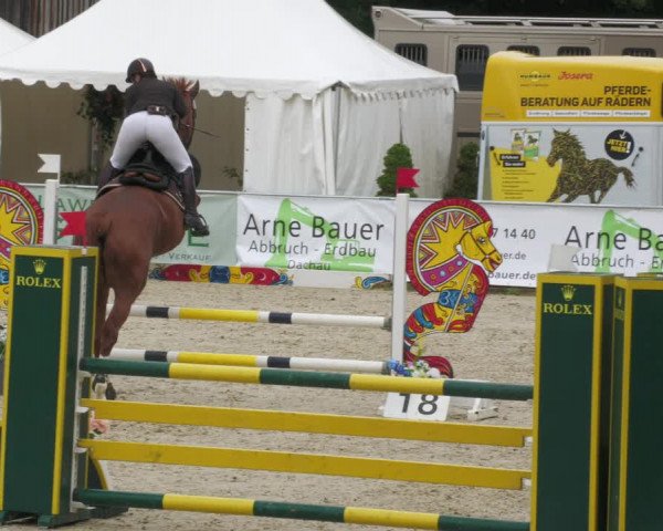 Reitturnier Karlsfeld 2023