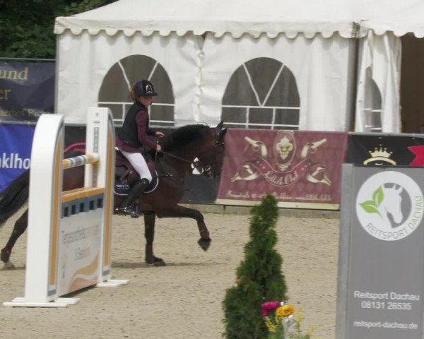 Reitturnier Karlsfeld 2023