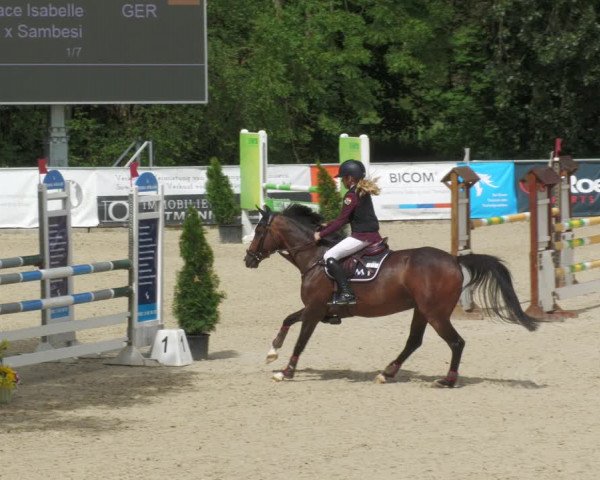 Reitturnier Karlsfeld 2023