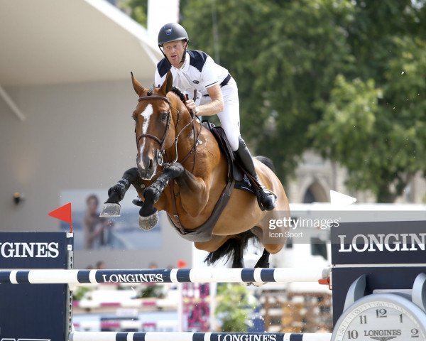 jumper Holsteins Matina (Danish Warmblood, 2009, from Party Dance)