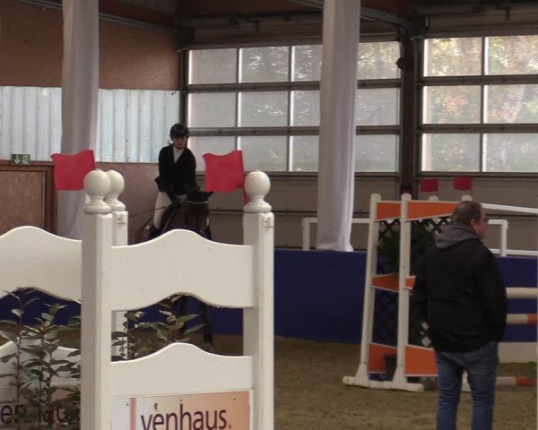 Euregio Springturnier Isterberg 2021
