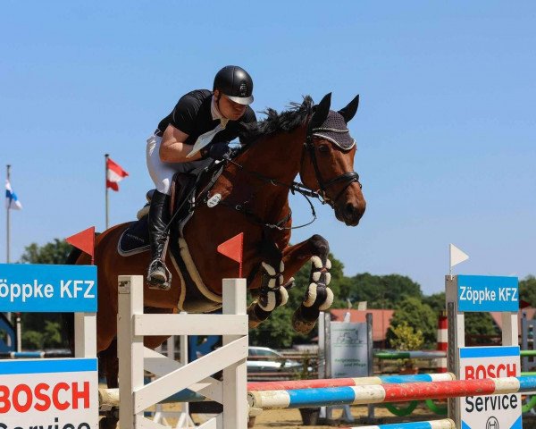 jumper Little' Foot (Westphalian, 2010, from Larson)