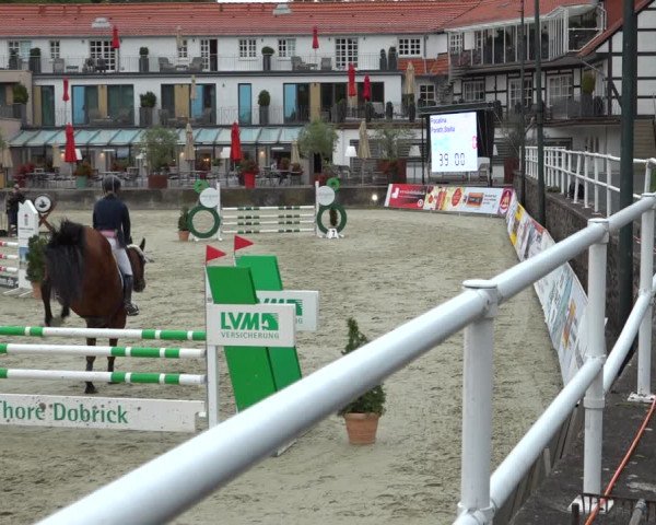 Erntedank Springturnier Nörten-Hardenberg 2021