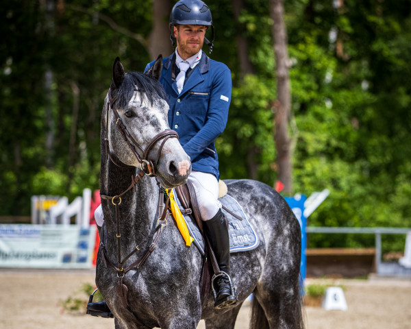 stallion Drop 5 (Oldenburg show jumper, 2018, from Diaron OLD)