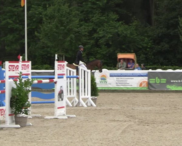 Reitturnier Ladelunder Springtage 2023
