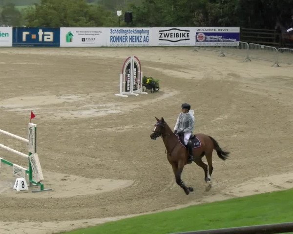 Reitturnier Wädenswil 2023