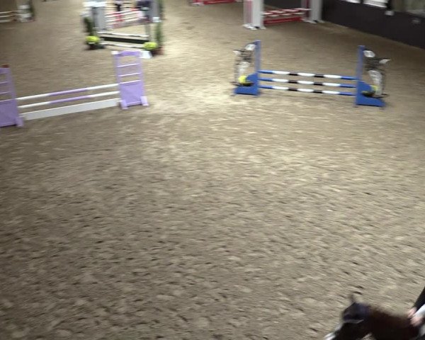 23. Legdener Ponymeeting 2021