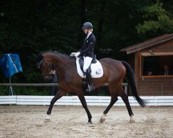dressage horse Come Back Dancing (Hanoverian, 2014, from Helenenhof's Carabas)