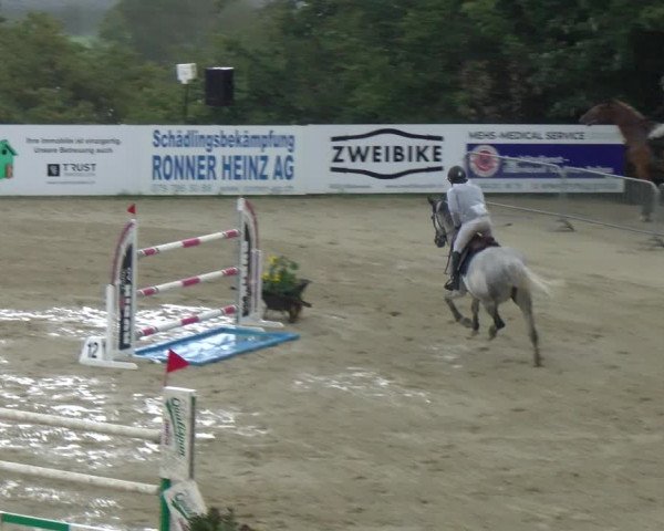 Reitturnier Wädenswil 2023