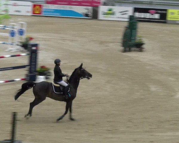 Reitturnier Wädenswil 2023