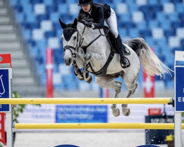Springpferd Call Me Jabri (Anglo Europäisches Sportpferd, 2016, von Call me Pezi)
