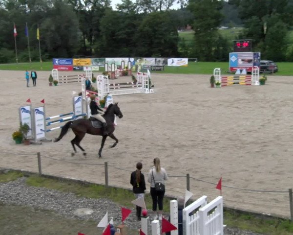 Reitturnier Gossau 2023