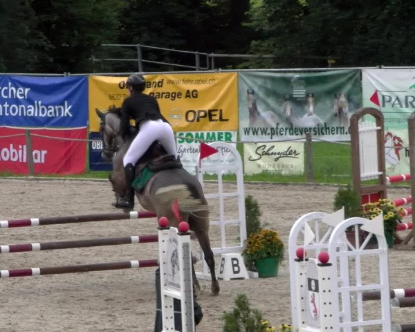 Reitturnier Gossau 2023