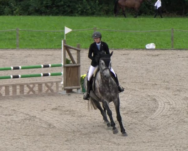 Reitturnier Gossau 2023