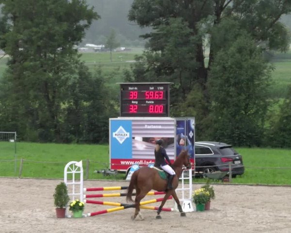 Reitturnier Gossau 2023