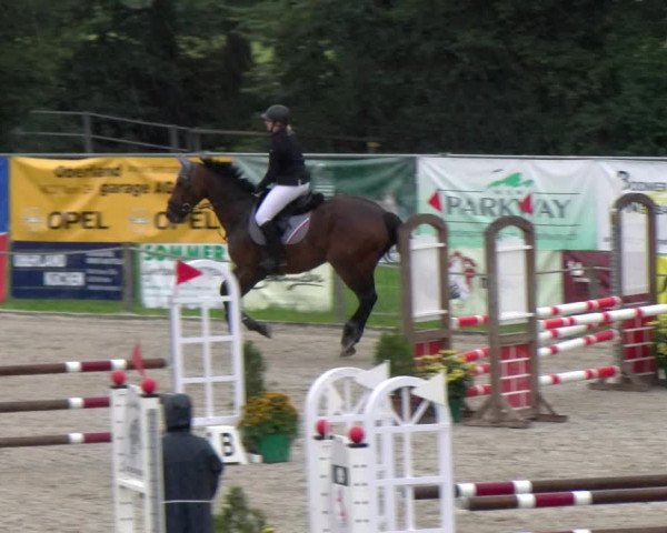 Reitturnier Gossau 2023