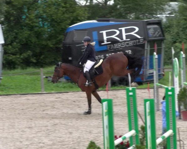 Reitturnier Gossau 2023