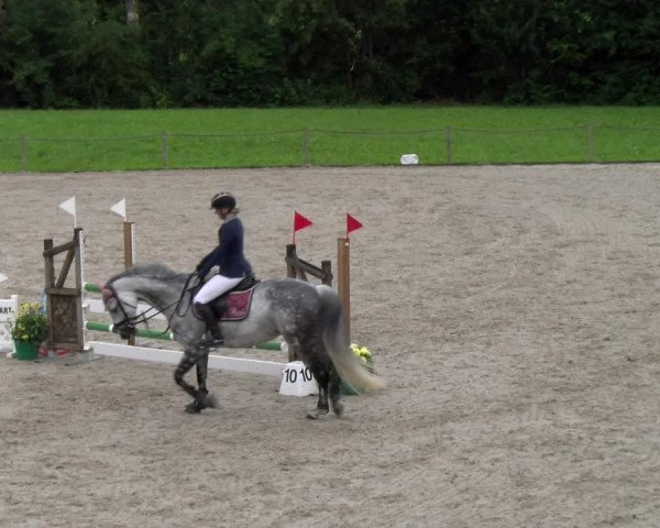 Reitturnier Gossau 2023