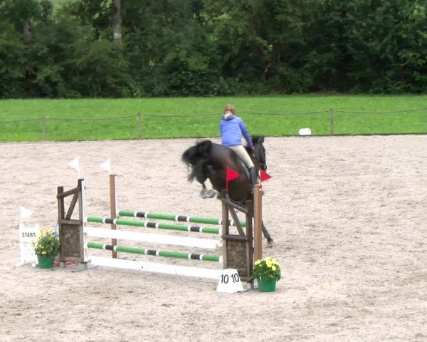 Reitturnier Gossau 2023