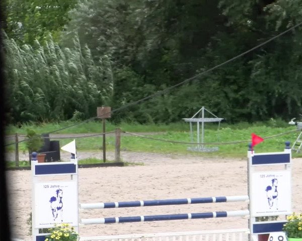 Reitturnier Gossau 2023