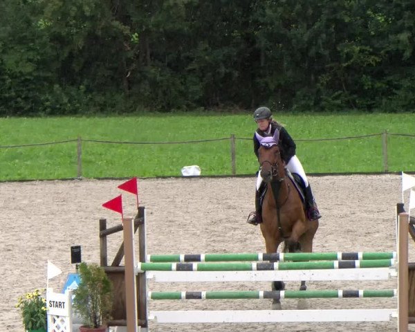 Reitturnier Gossau 2023