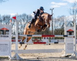 broodmare La Vie 57 (Oldenburg show jumper, 2013, from Numero Uno)
