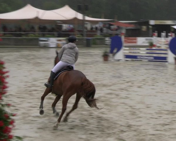 Reitturnier Olfen-Vinnum 2023