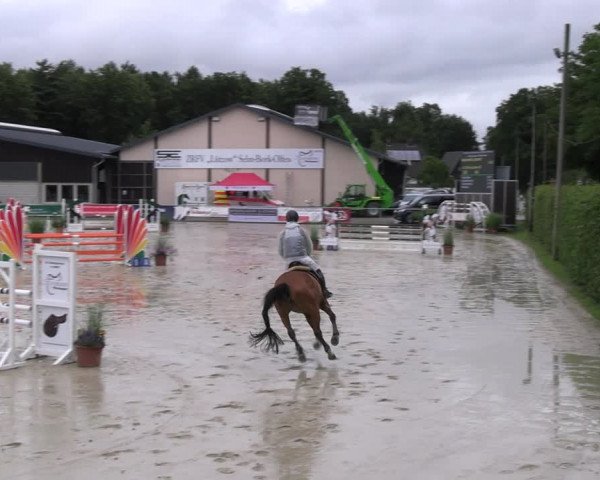 Reitturnier Olfen-Vinnum 2023