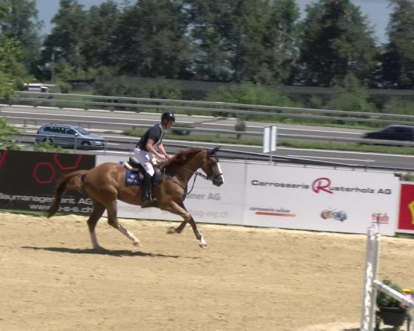 Reitturnier Wädenswil 2023