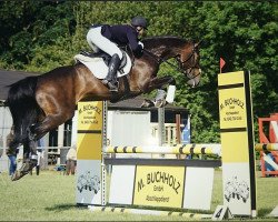 broodmare Diarina (Holsteiner, 2011, from Diarado)
