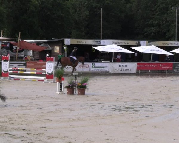 Reitturnier Olfen-Vinnum 2023