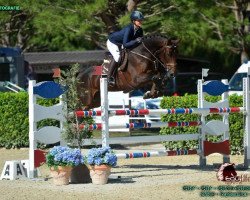 jumper Camparo (Holsteiner, 2012, from Catoo)