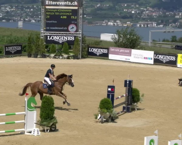Reitturnier Wädenswil 2023