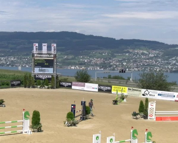 Reitturnier Wädenswil 2023