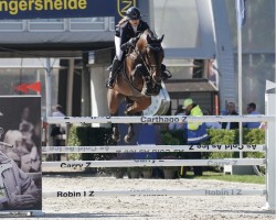 stallion Joyride (KWPN (Royal Dutch Sporthorse), 2014, from Verdi)